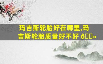 玛吉斯轮胎好在哪里,玛吉斯轮胎质量好不好 🌻